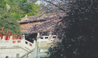 题破山寺后禅院原文