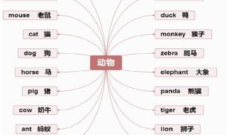 小学英语单词汇总