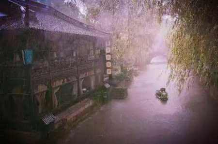 杭州昨晚暴雨突袭 暴雨作文