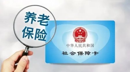 国办发200966号 职工基本养老保险的相关法规